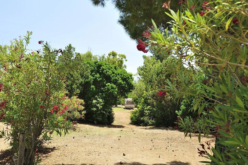 Villaggio Camping Tesonis Beach Tertenìa